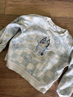 Bluey sweatshirt